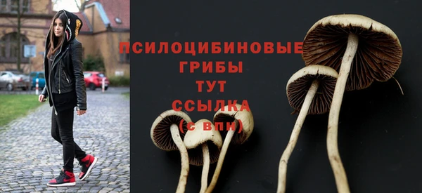 дживик Алексеевка