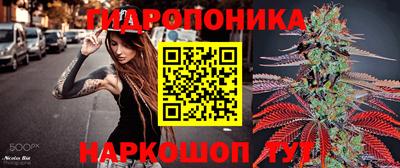 прущий лед Кингисепп